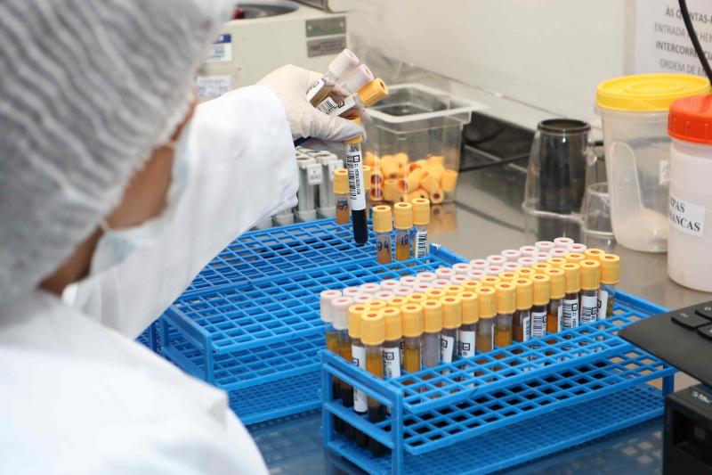 Hemoam conquista 100% de satisfação em avaliação hemoterápica do Ministério da Saúde