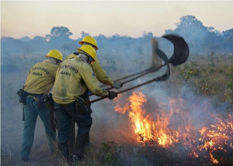 IBAMA envia brigadistas para combate ao fogo e fumaça na região metropolitana de Manaus