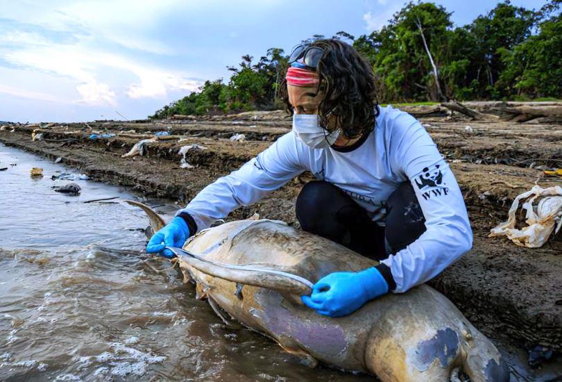 Alckmin e ministros vão a Manaus discutir medidas contra seca extrema