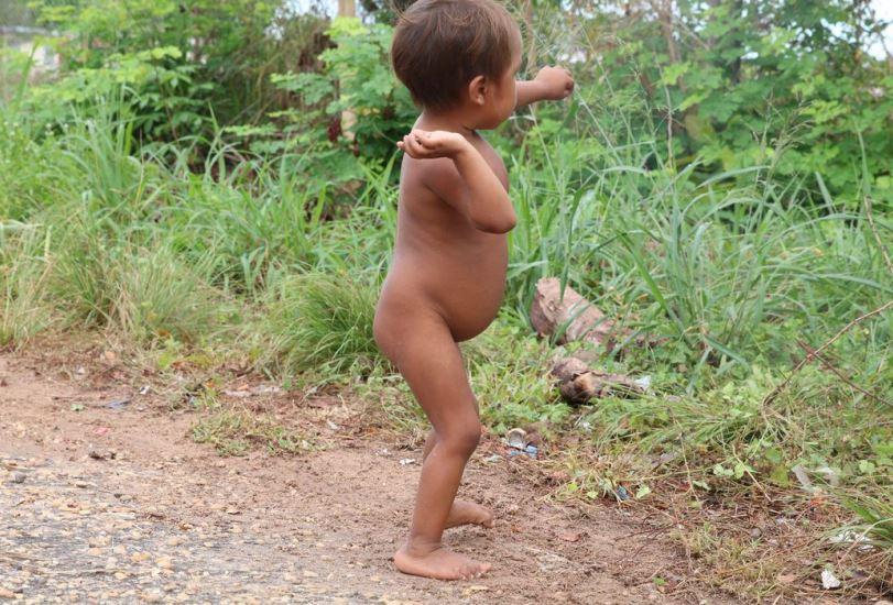 PF investiga desvios de medicamentos destinados aos Yanomami