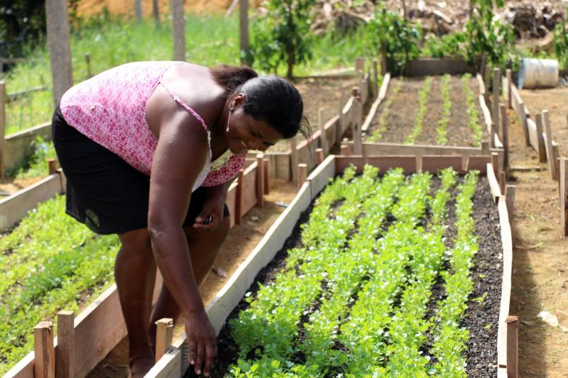 Idam orienta agricultores familiares sobre medidas emergenciais para amenizar perdas agrícolas