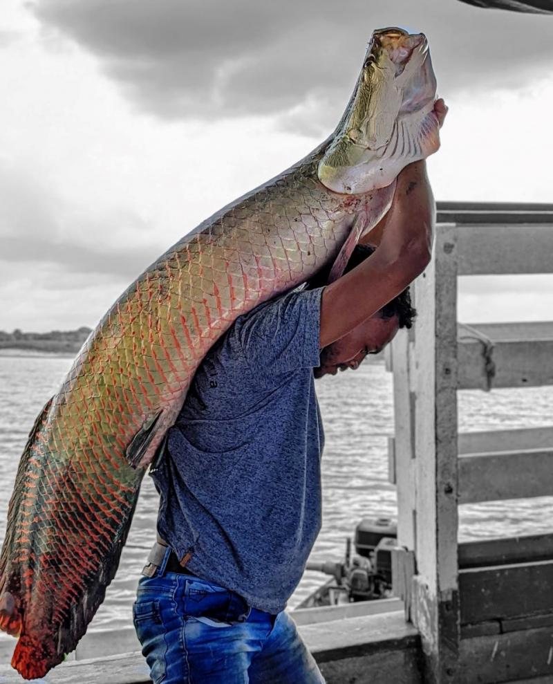 Soluções práticas e inovadoras para o setor de pesca e aquicultura serão apresentadas no interior do Amazonas 