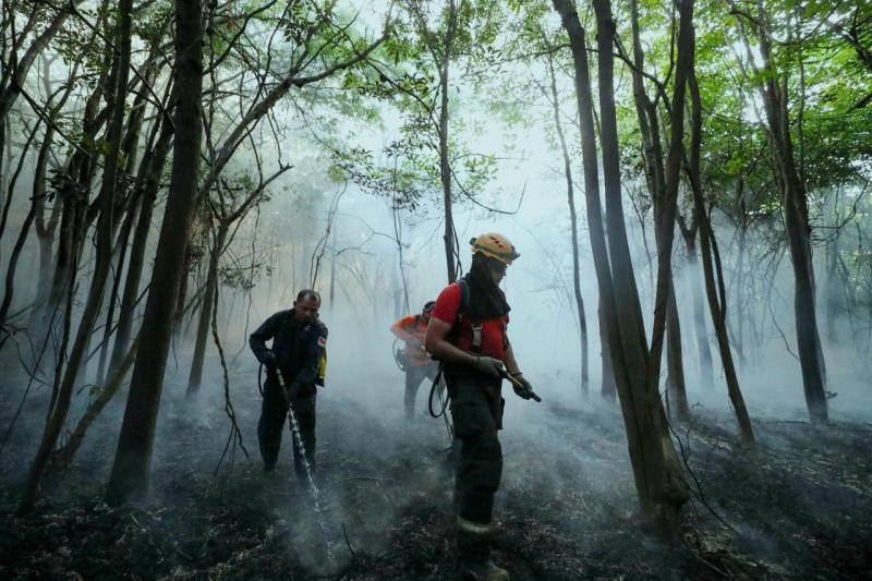 Governo do Amazonas atua desde o início do ano combatendo queimadas e desmatamento ilegais