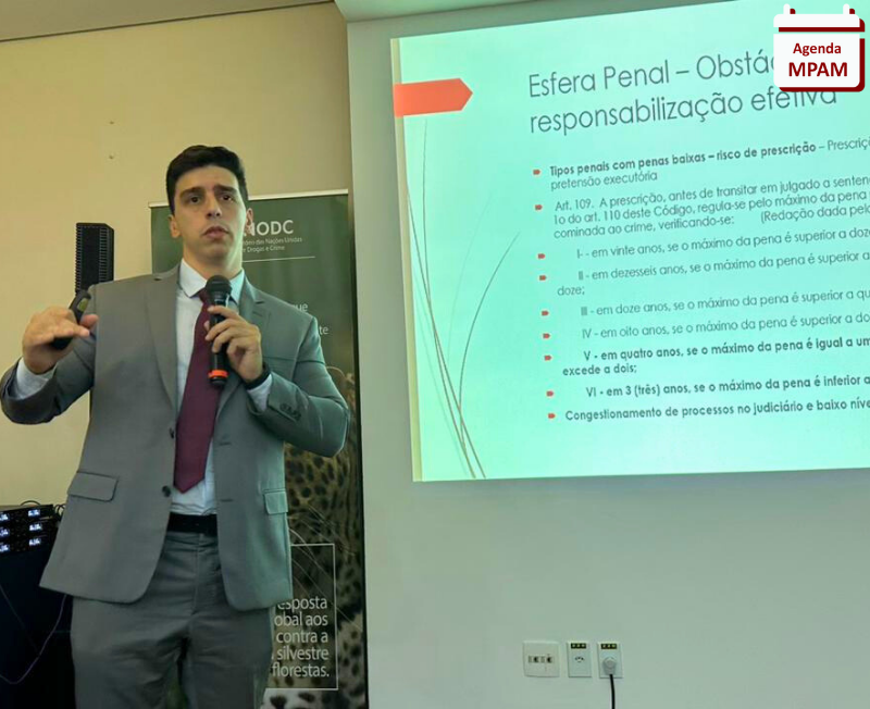 MPAM participa de treinamento das Nações Unidas com foco em crimes ambientais