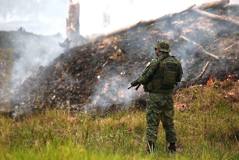 PMAM detém 83 pessoas em ações da força-tarefa contra crimes ambientais
