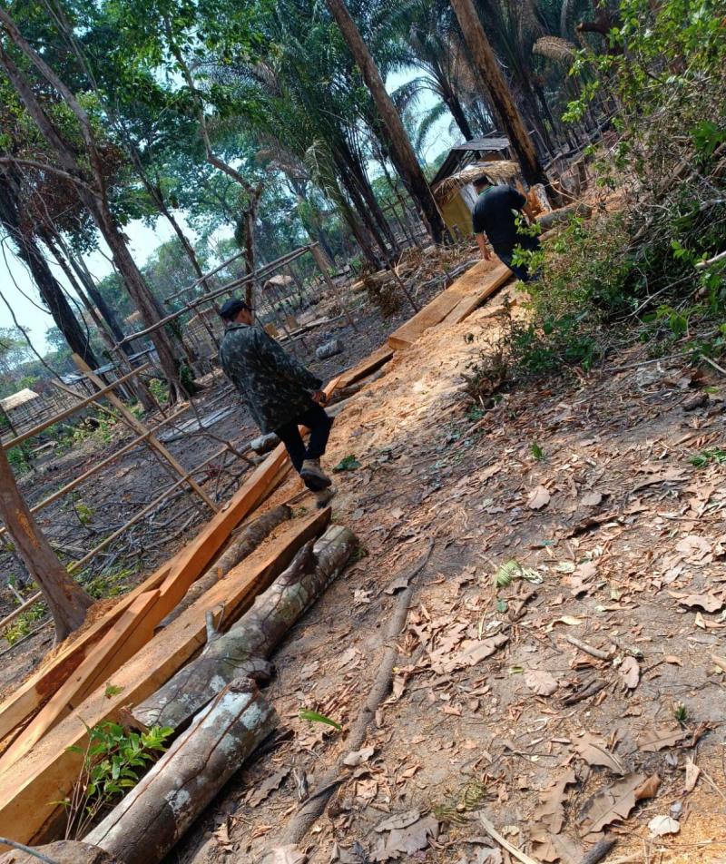 Sedema e Polícia Militar apreendem materiais usados em extração de castanheiras no Teixeirão 