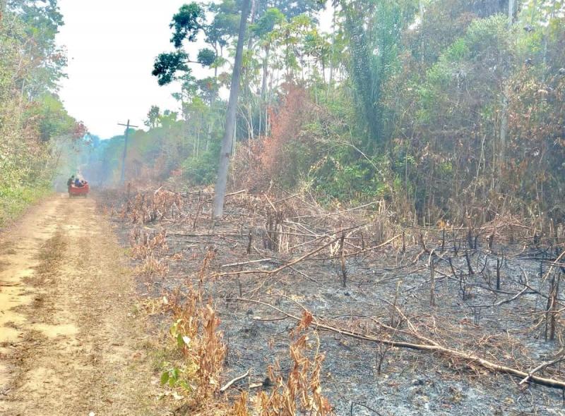 Proprietários de terrenos que provocam queimadas serão identificados por coordenadas geográficas e penalizados