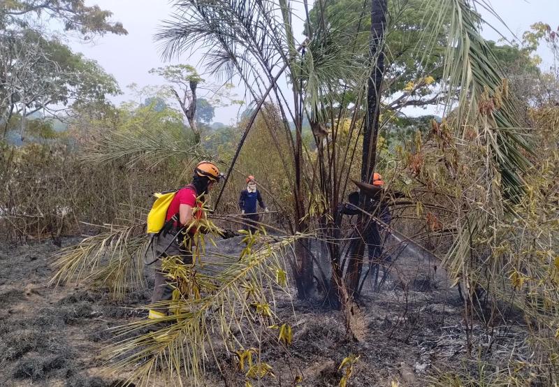 Incêndio na orla do Macurany é controlado em ação de bombeiros e brigadistas 