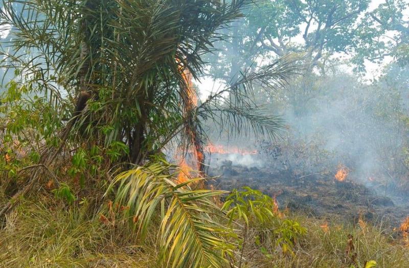 Corpo de Bombeiros combate incêndio em área de difícil acesso em Parintins