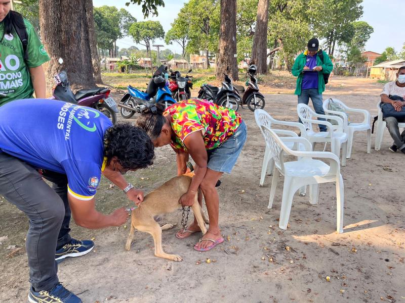 Companha contra maus-tratos leva vacinação para animais no bairro Castanhal 
