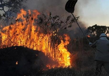 Amazonas registrou 2.928 incêndios combatidos entre julho e dezembro