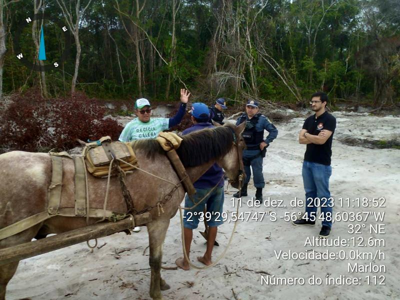Equinos abandonados causam preocupação e Sedema alerta para o crime de maus-tratos 