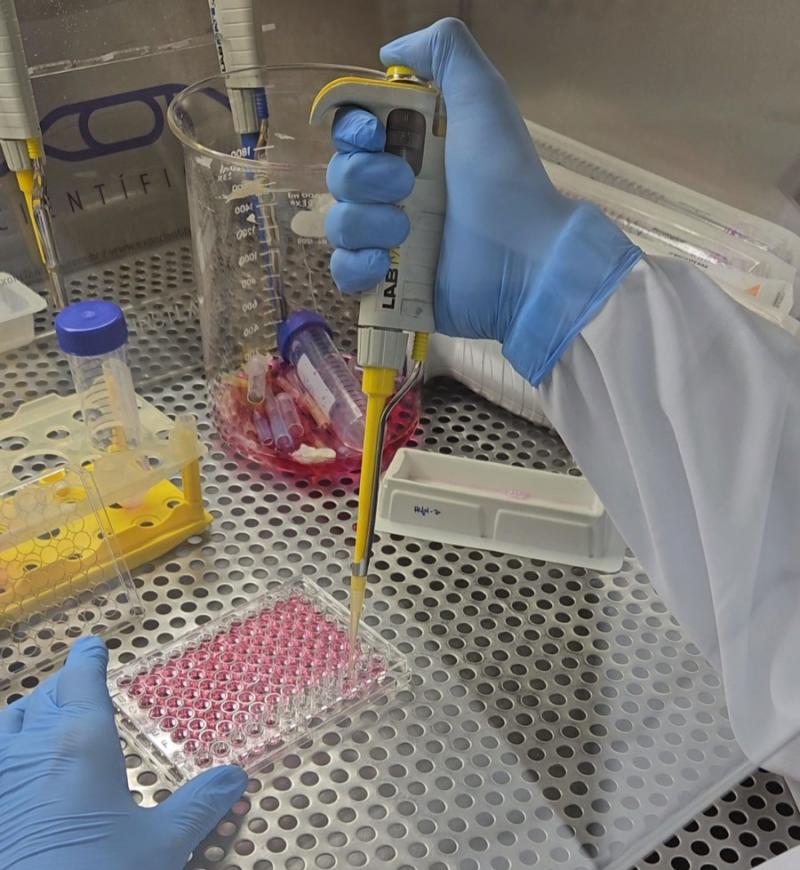 Estudo analisa bioativos naturais como alternativa mais eficaz e menos invasiva no tratamento do câncer