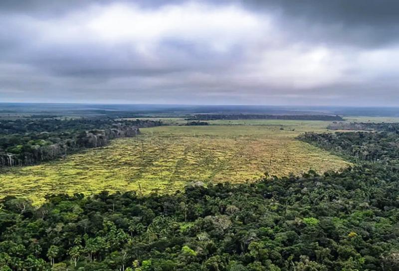 Desmatamento na Amazônia registra maior queda do ano em novembro