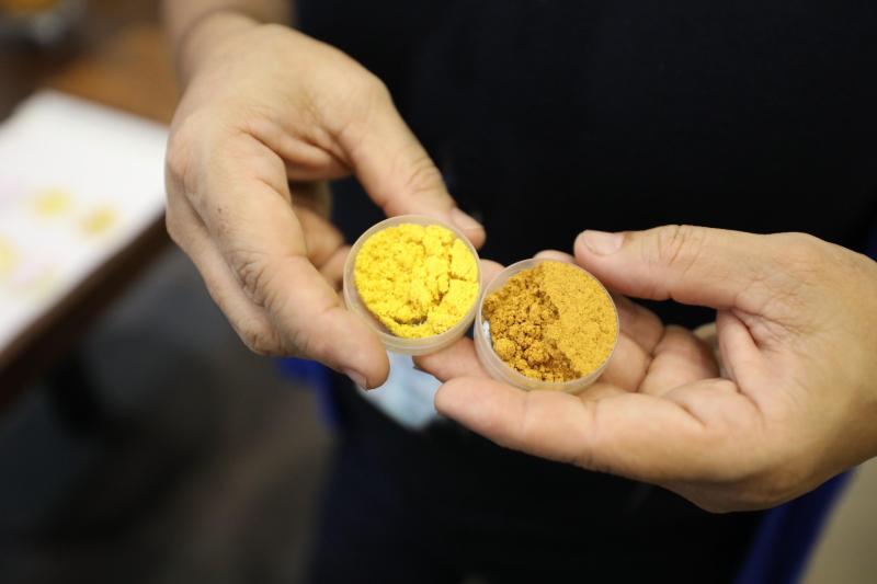 Resíduos de frutos amazônicos ricos em vitamina A servem de compostos para produção de corante natural