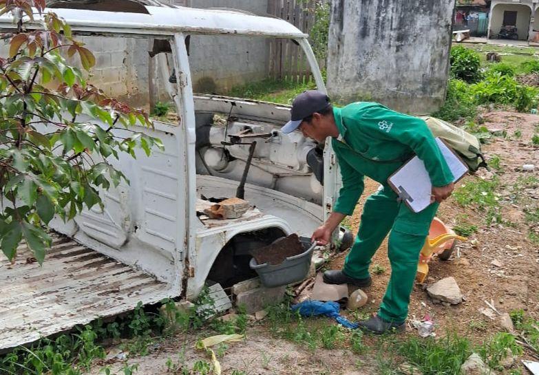 Mais de 60% dos criadouros de mosquito Aedes aegypti poderiam ter sido evitados em vistorias semanais