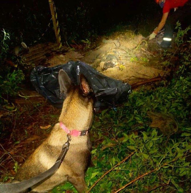 Cães de resgate do Corpo de Bombeiros auxiliaram trabalho de busca por corpo em Presidente Figueiredo  