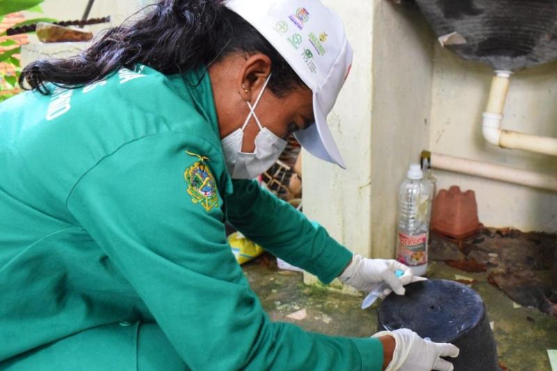 Parintins registra dois casos de Febre Oropouche e Vigilância alerta para prevenção às arboviroses