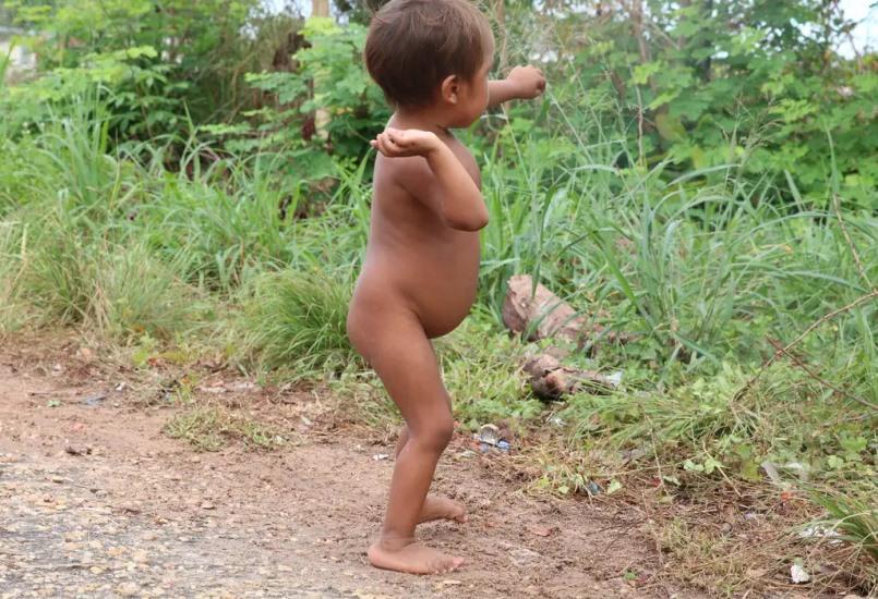 Garimpo ilegal ainda ameaça saúde em território yanomami