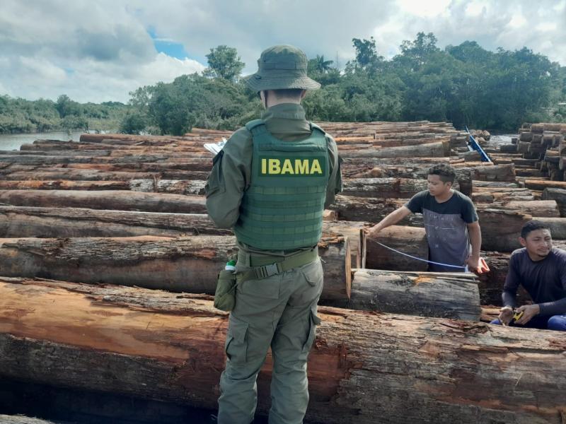 Operação Mamuru deflagra exploração ilegal de madeira no Amazonas e Pará após denúncias de indígenas