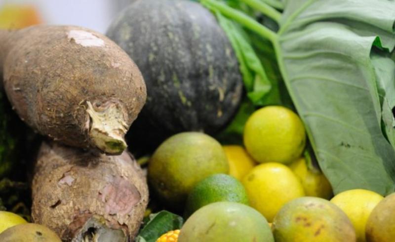 Ministério reforça importância de ações voltadas à garantia do direito à alimentação adequada