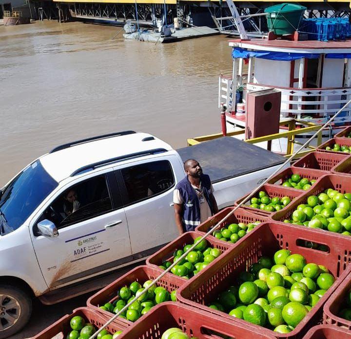 Adaf apreende carregamento irregular de frutas no Porto de Parintins