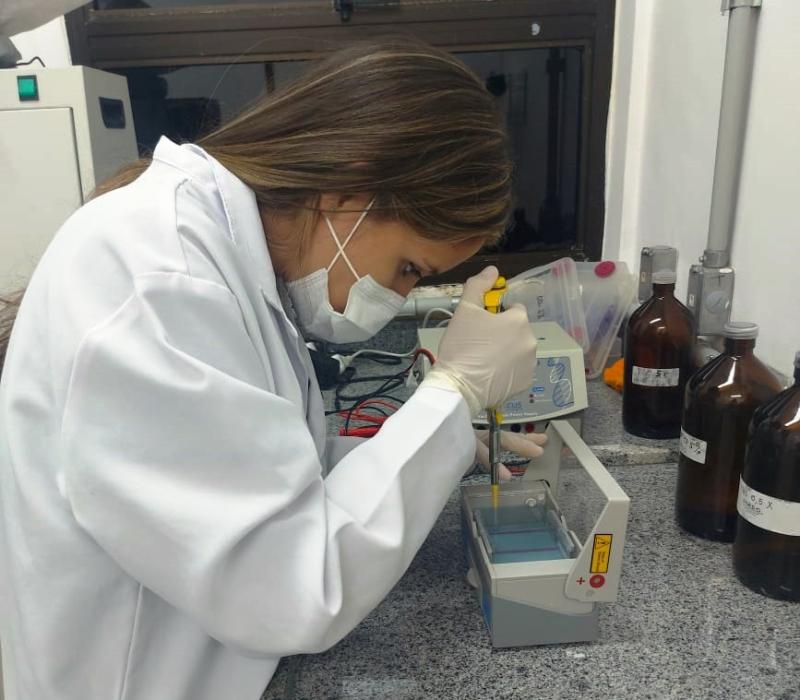 Pesquisa apoiada pelo Governo do Amazonas analisa a diversidade geográfica e epidemiológica de inseto da região