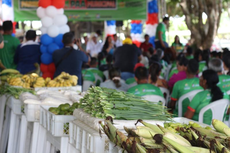 PAA 2024 começa pagamento de 54 agricultores com R$ 460 mil na economia de Parintins