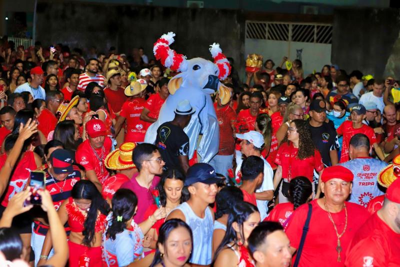 Garantido lota ruas de Parintins para festejar os namorados e celebrar Santo Antônio