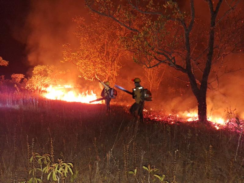 Ibama mantém atuação contra queimadas e incêndios florestais no Amazonas 