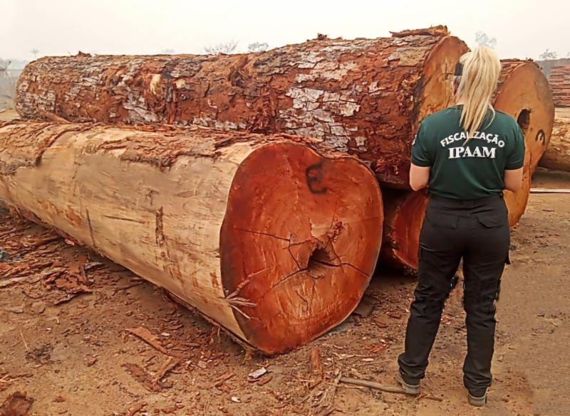 Operação Tamoiotatá: Ipaam aplica mais de 100 milhões em multas, em 140 dias de operação no sul do Amazonas