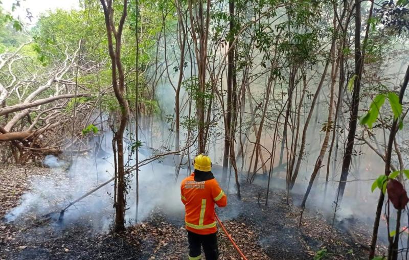 Em setembro, Corpo de Bombeiro combateu mais de 6,6 mil focos de incêndio no estado