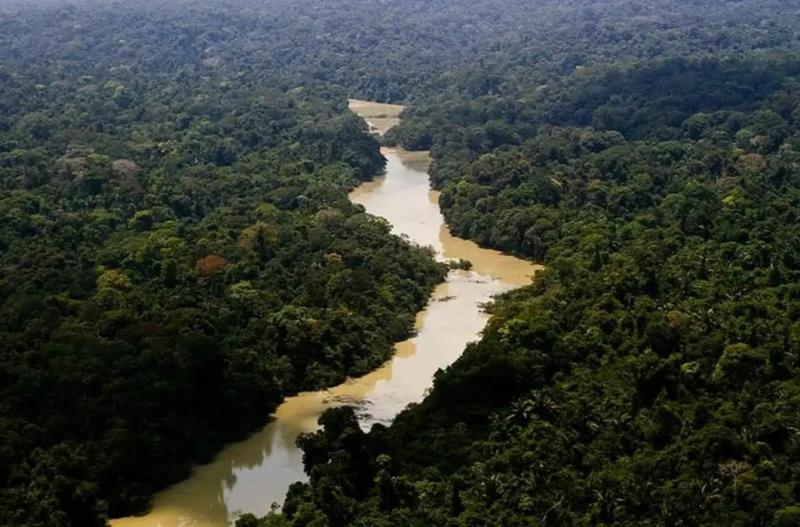 AGU cobra R$ 89 milhões de acusados de causar queimadas na Amazônia