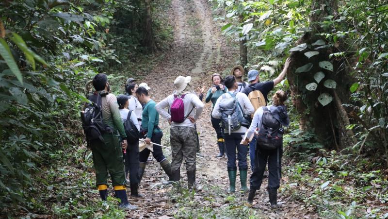 Evento imersivo realizado nas florestas úmidas da Amazônia é apoiado pelo Governo do Amazonas