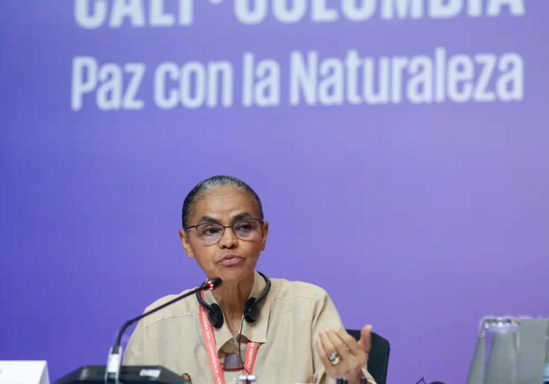 Na COP16, Marina Silva defende fundo para remunerar povos tradicionais