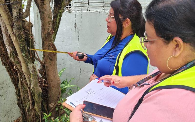 Inventário florestal revela diversidade de espécies arbóreas na área do Prosai Parintins