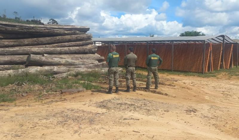 Ibama inicia Operação Maravalha 2025 para combater o desmatamento na Amazônia