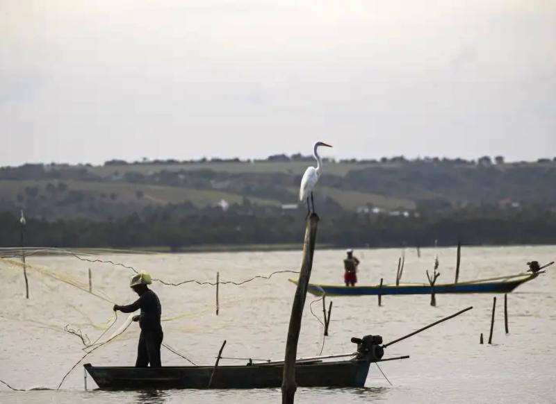 Período de defeso na Bacia Hidrográfica do Rio Amazonas termina em 28 de fevereiro