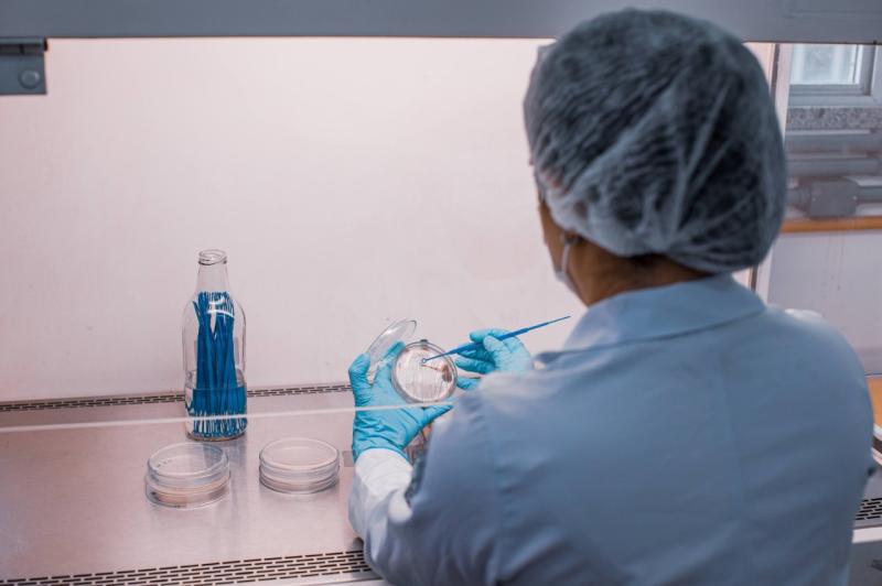 Fapeam recebe inscrições para editais destinados a cientistas mulheres na área de empreendedorismo e pesquisa