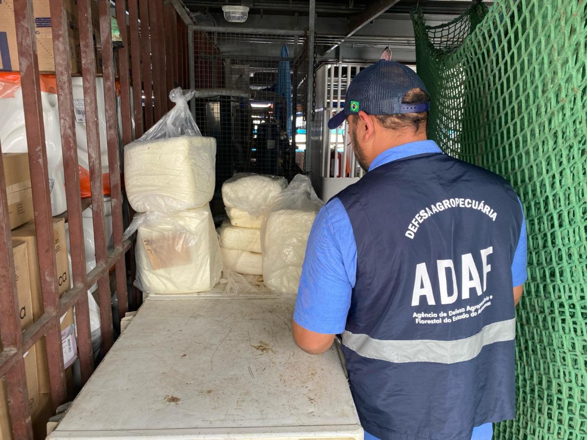 Adaf apreende 85 quilos de queijo clandestino em Tefé 
