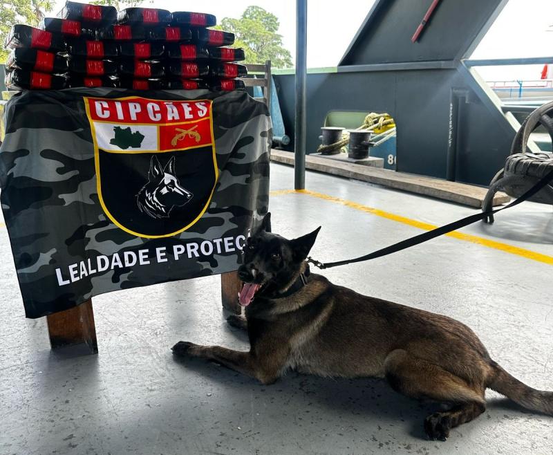 Cadela Athena auxilia na localização de 30 quilos de cocaína escondidos em bagagem de barco