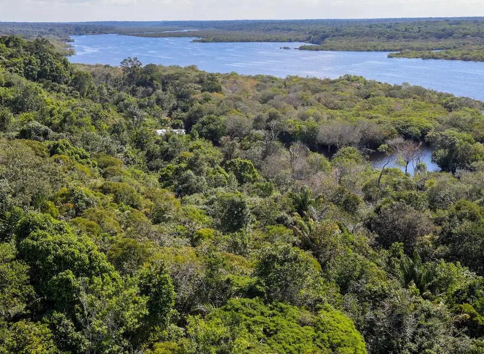 Corpo de piloto desaparecido na Amazônia é encontrado