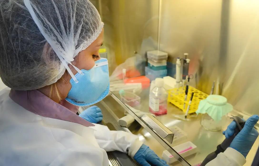 Pesquisa de vacina contra zika avança em testes com camundongos