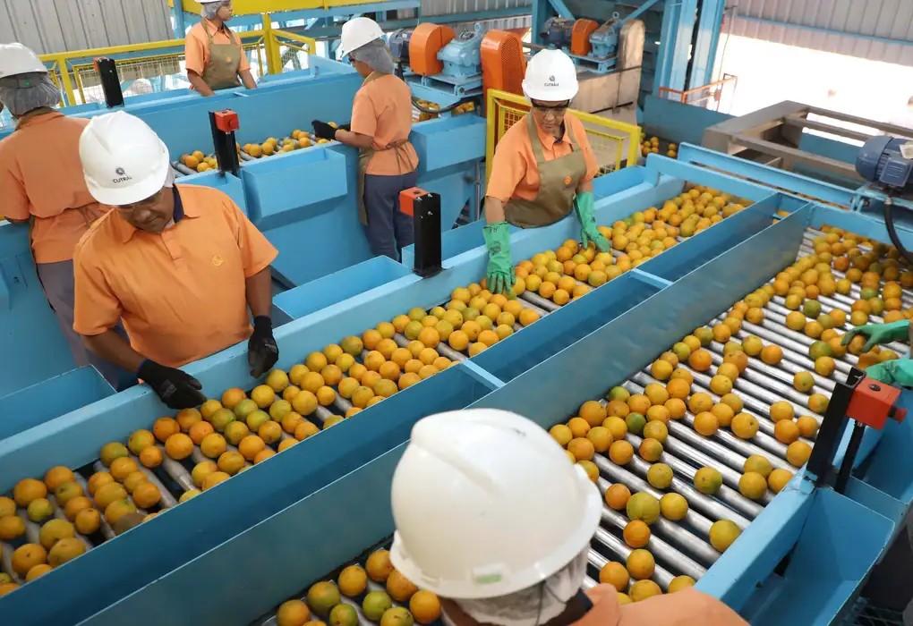 Confira a lista de quase 700 produtos que não serão taxados pelos EUA