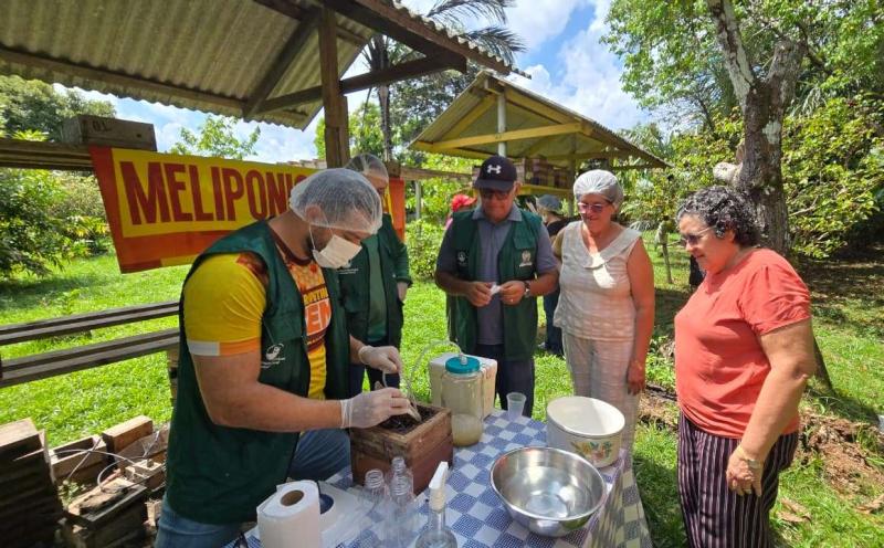 Prefeitura de Parintins apresenta resultado do incentivo à produção de mel de abelha sem ferrão
