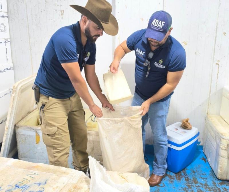 Em Parintins, Adaf apreende mais de 300 quilos de queijo de coalho e mariscos impróprios para o consumo