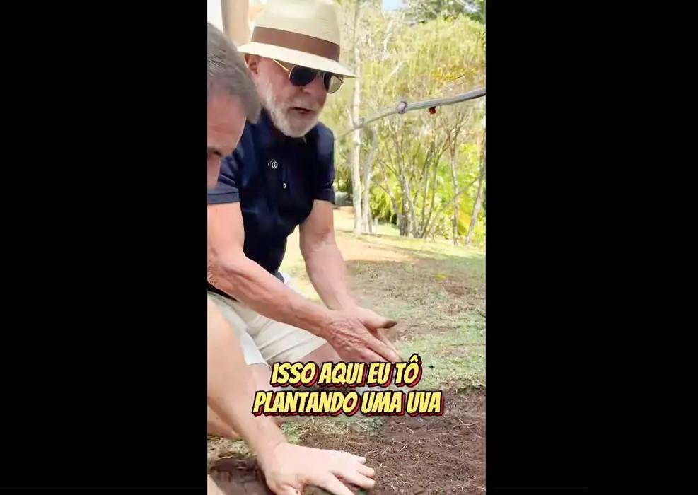 Em vídeo a Trump, Lula planta uva e diz semear comida e não ódio