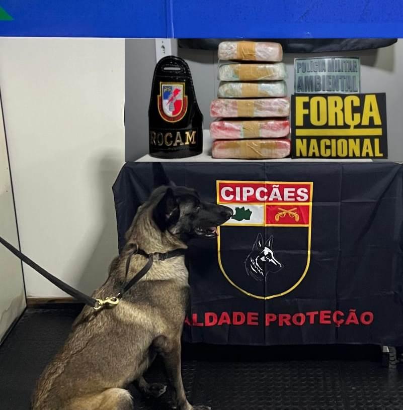 Mãe e filha são presas em embarcação com drogas escondidas nos corpos