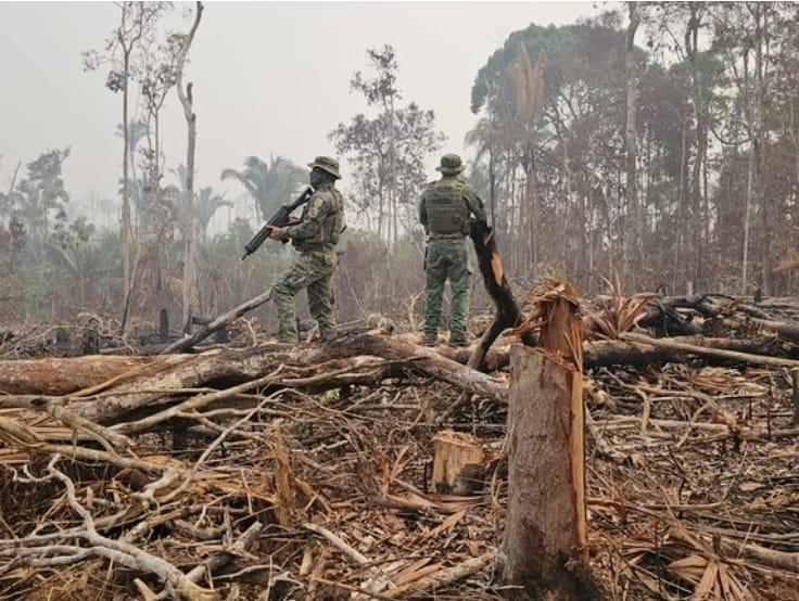 Ibama vistoria área de proteção ambiental em Manaus Ibama vistoria área de proteção ambiental em Manaus