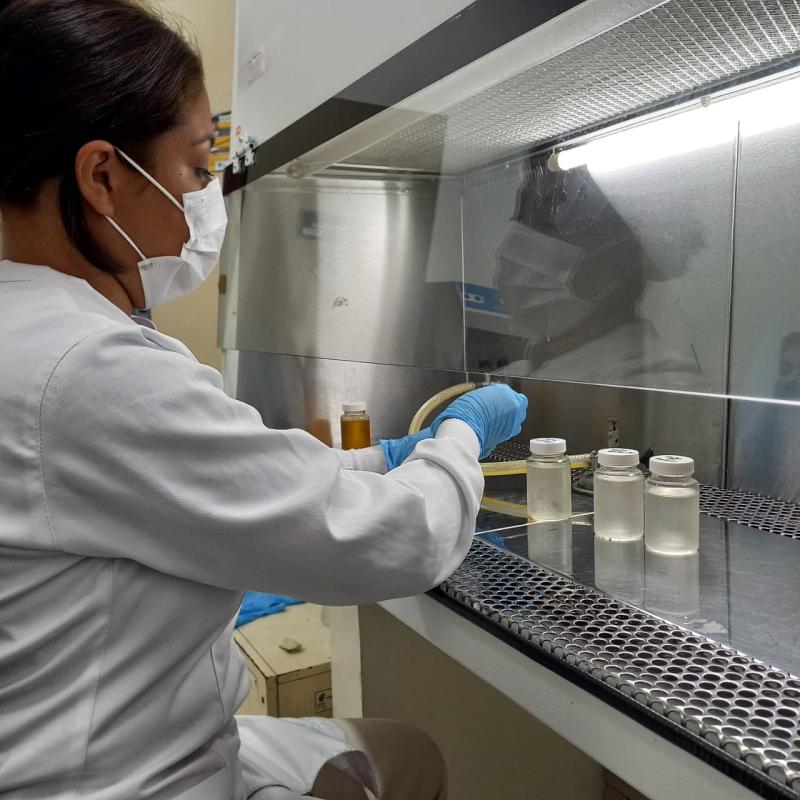 Estudo apoiado pelo Governo do Amazonas avalia espécies de cândida na rede de esgoto hospitalar